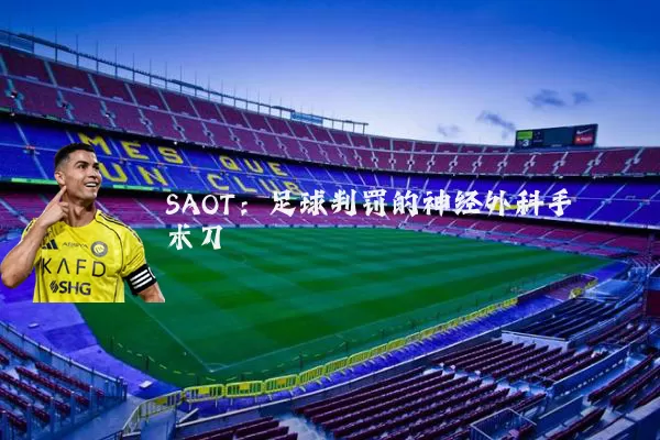 SAOT：足球判罚的神经外科手术刀